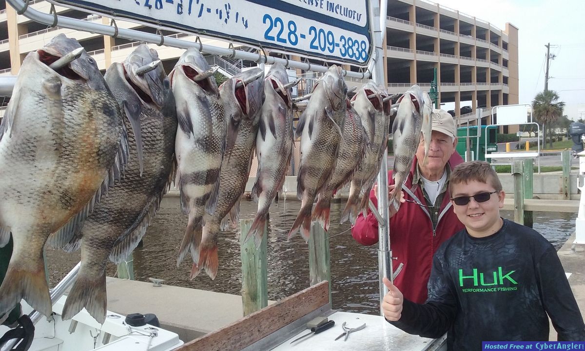 dominator fishing charters