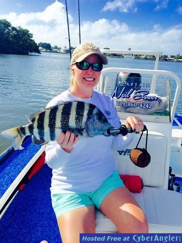 Click to Enlarge Photo