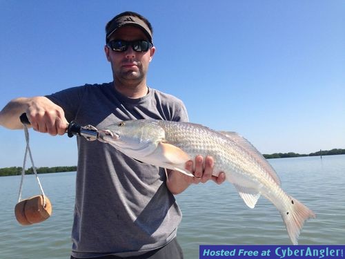 Estero Bay Redfish