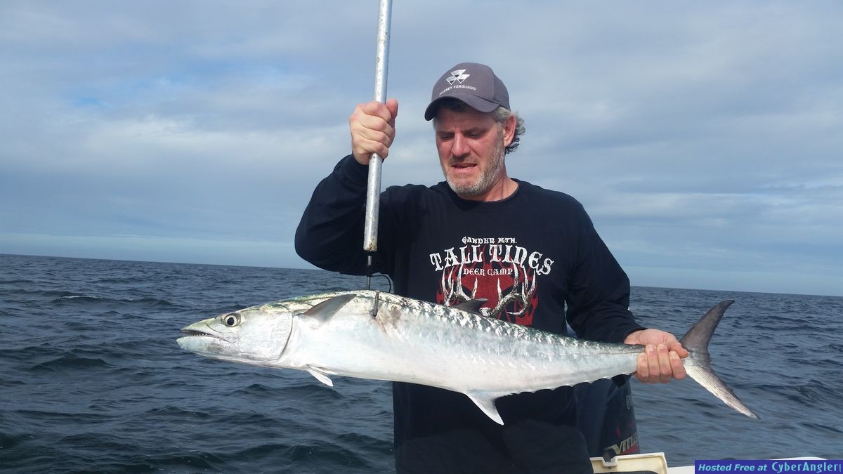 King Mackerel