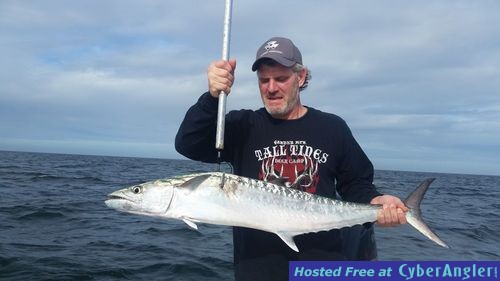 King Mackerel