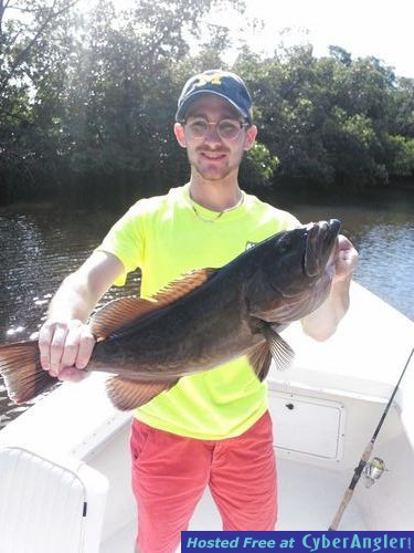 Backcountry Gag Grouper