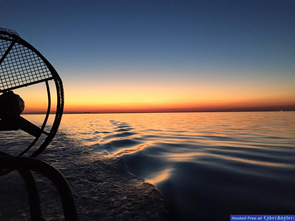 Galveston Fishing Report