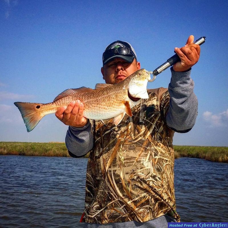 Galveston Fishing Report