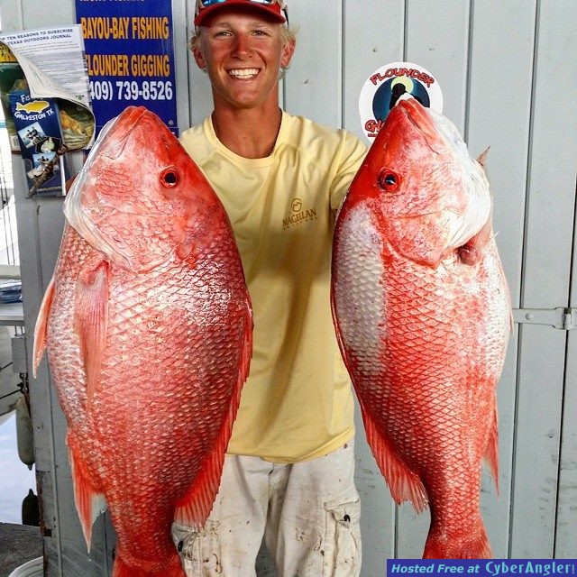 Galveston Fishing Report
