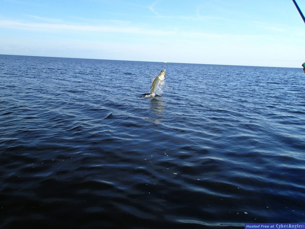 Click to Enlarge Photo