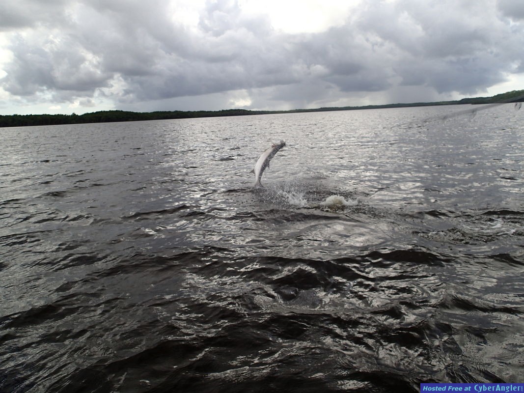 Click to Enlarge Photo