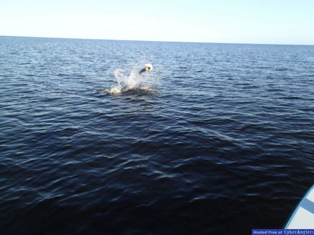 Click to Enlarge Photo