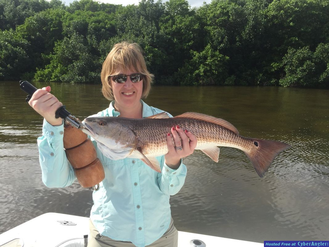 December and January Fishing