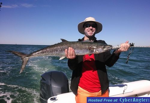 Gulf King Mackerel