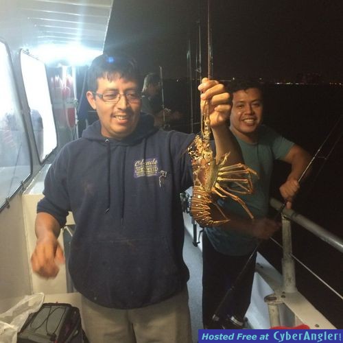 Lobster caught at night