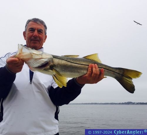 Click to Enlarge Photo