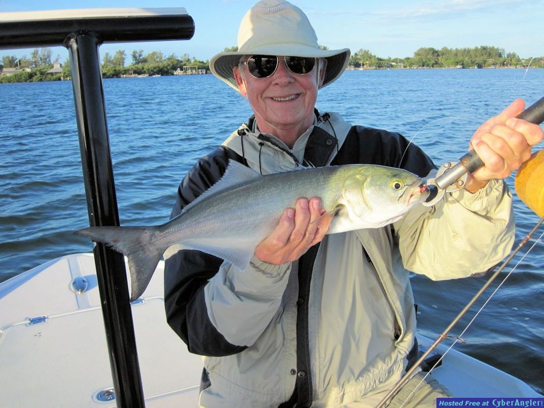 Keith McClintock Charlotte Harbor CAL shad bluefish