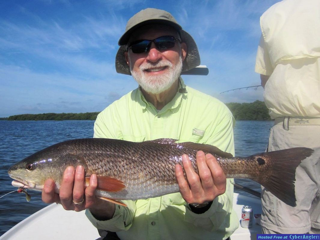 Chuck Hempfling Sarasota Bay CAL shad redfish