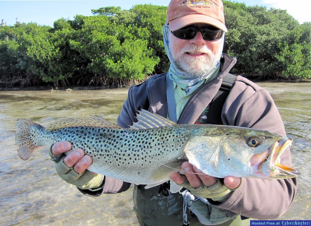Capt. Rick Grassett Sarasota Bay Grassett Flats Minnow fly trout