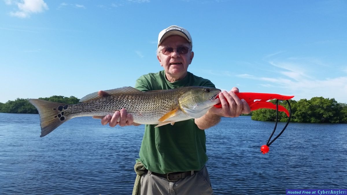 Snook and reds