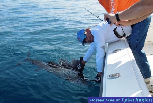 Click to Enlarge Photo