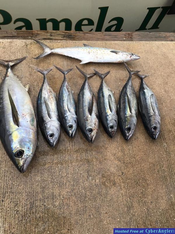 TUNAS