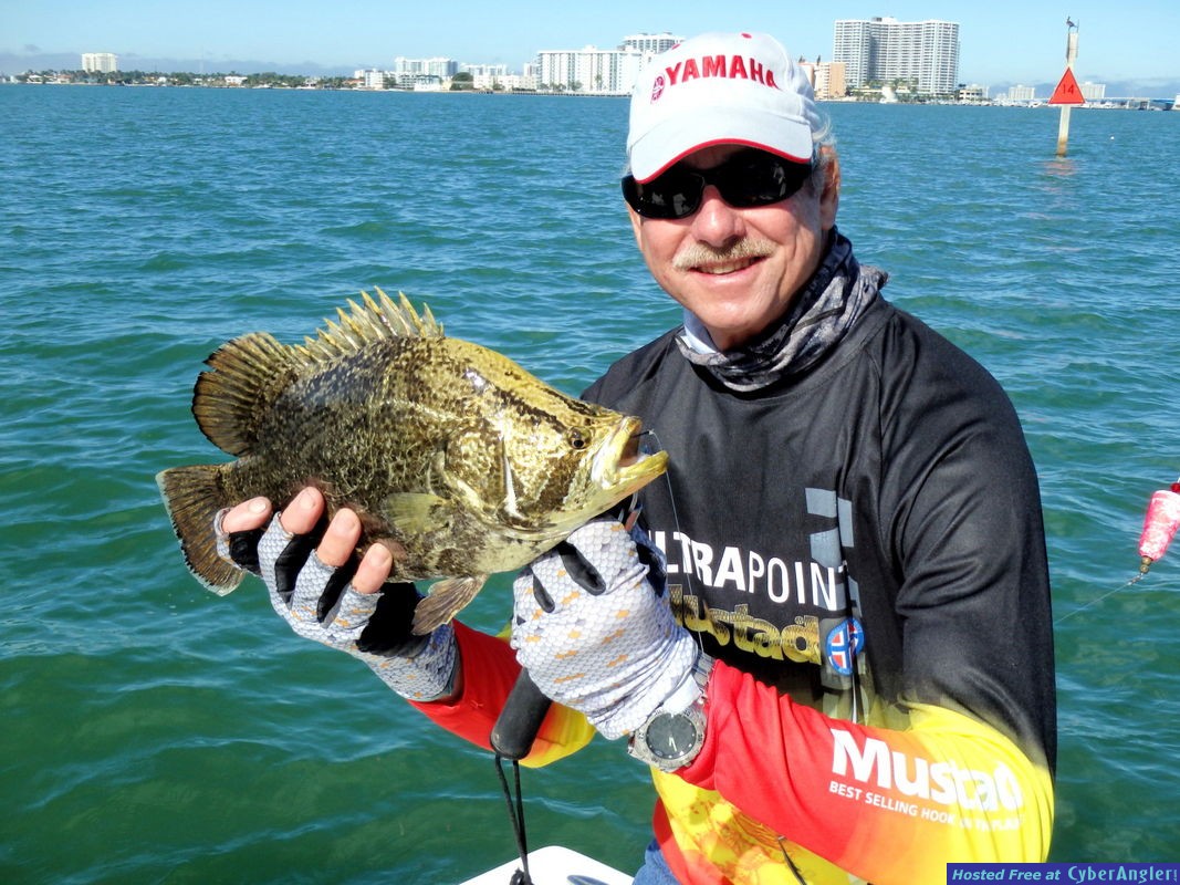 North_Bay_Tripletail_5