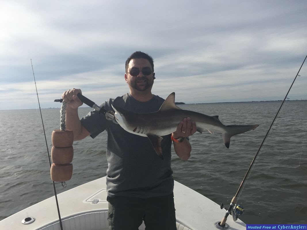 Fishing Charters Tampa Florida