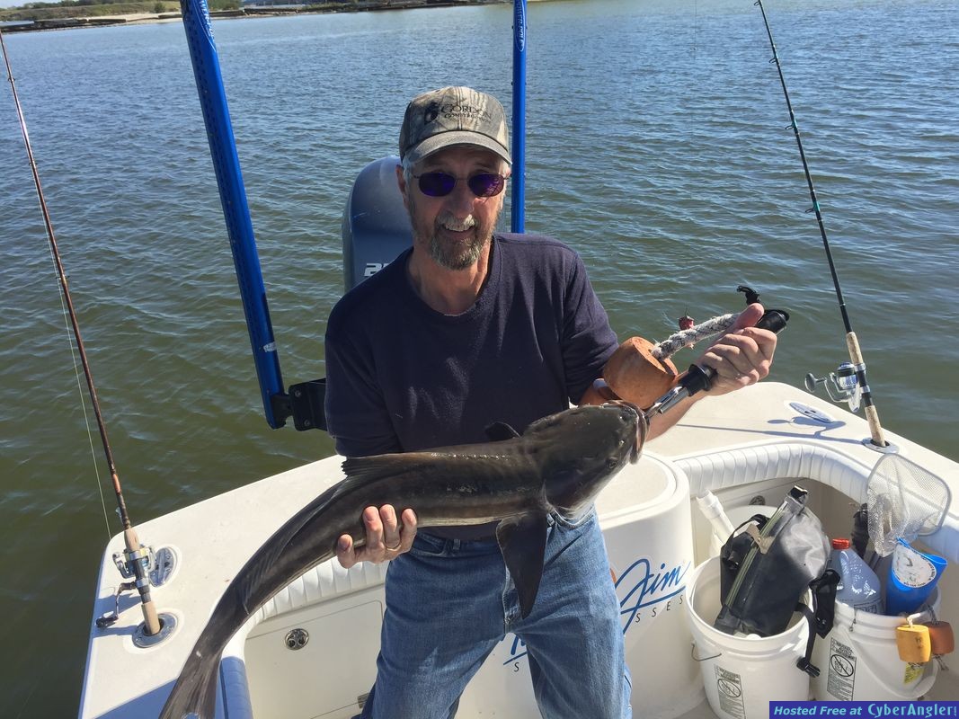 Fishing Charters Tampa Florida