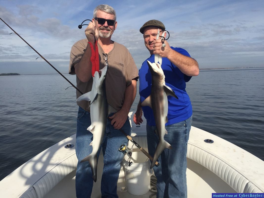 Fishing Charters Tampa Florida