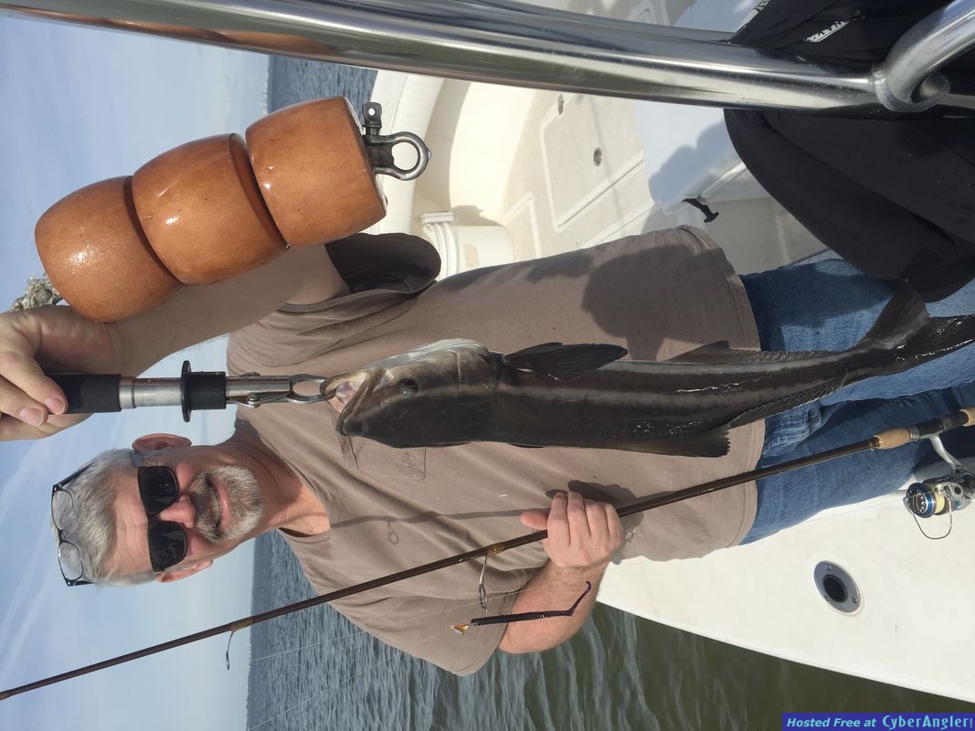 Fishing Charters Tampa Florida