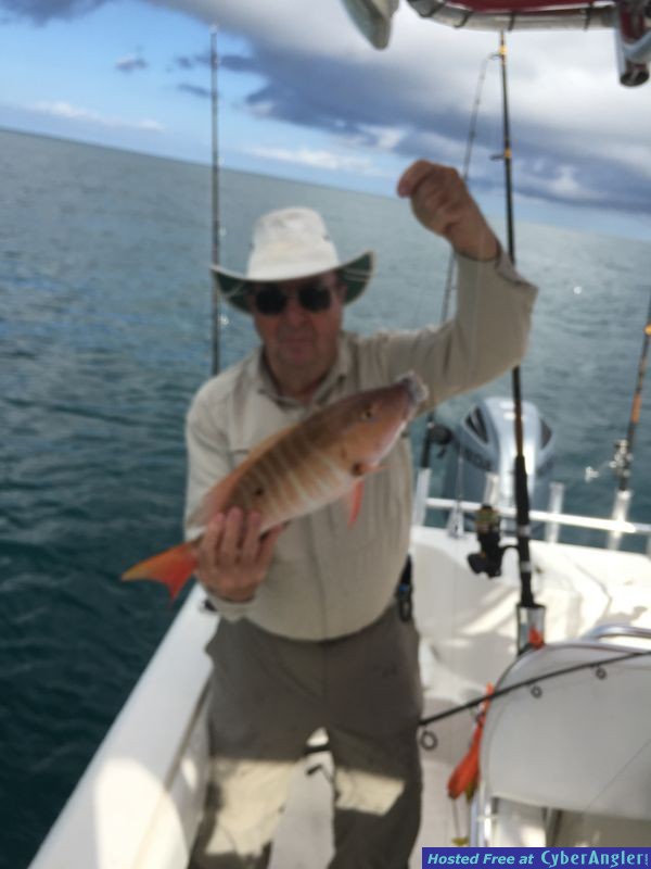 Mutton Snapper