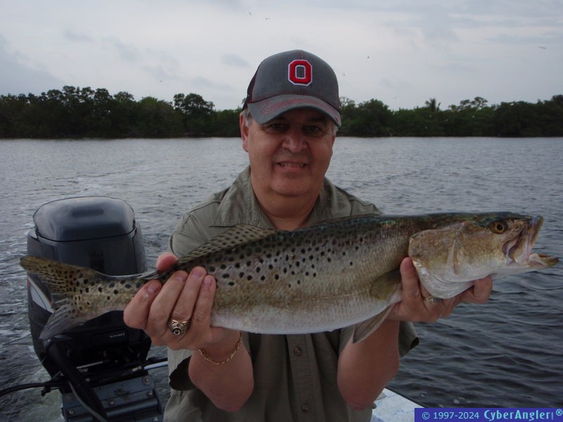 Tampa bay Trout!