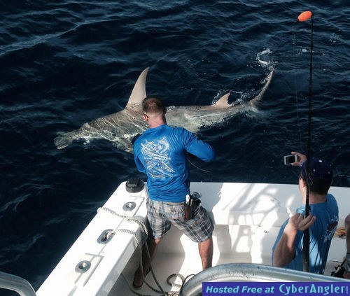 Click to Enlarge Photo