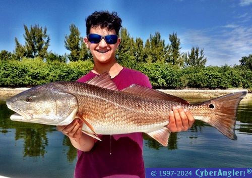 Click to Enlarge Photo