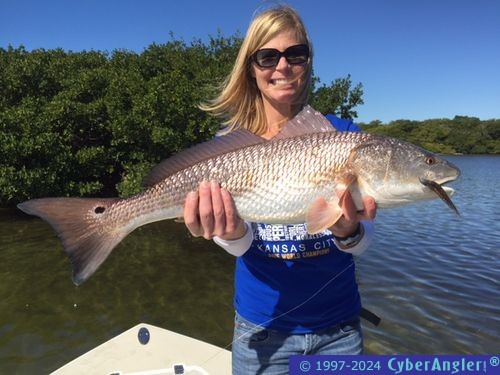 Click to Enlarge Photo