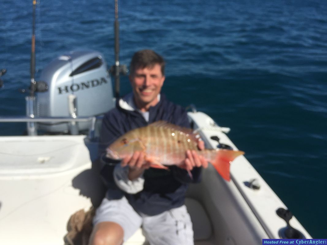 Mutton Snapper