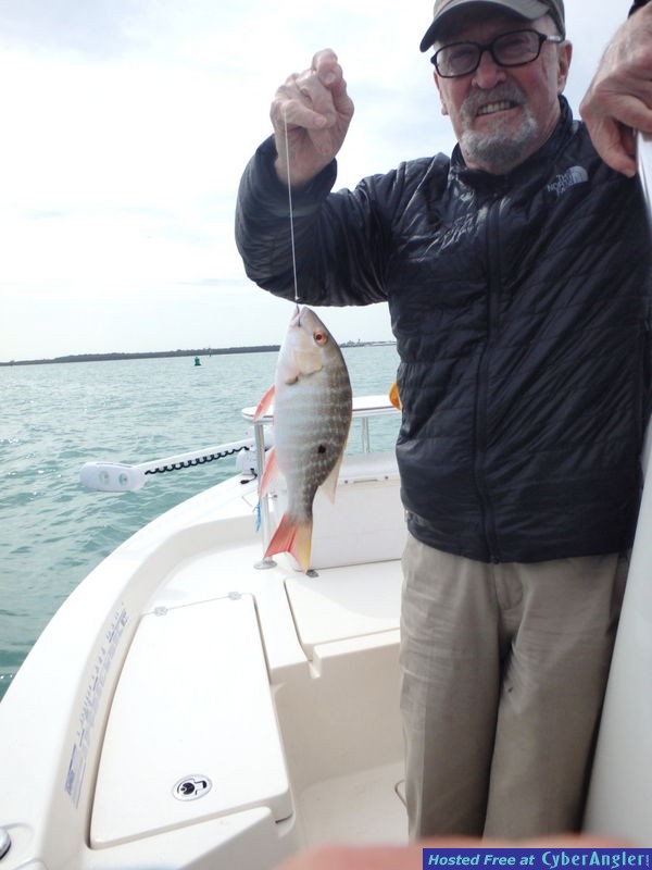 Hank_n_mutton_snapper