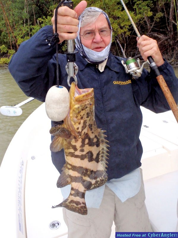 Click to Enlarge Photo