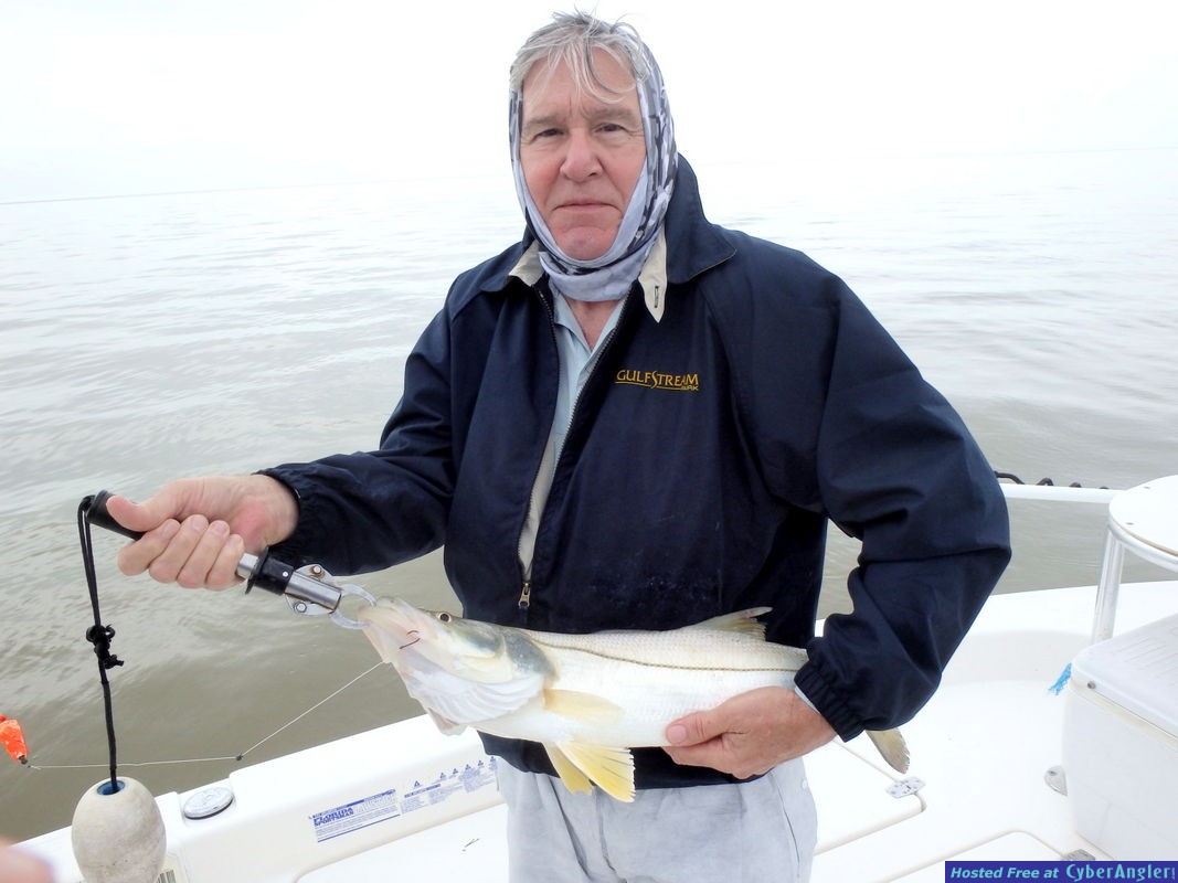 Click to Enlarge Photo