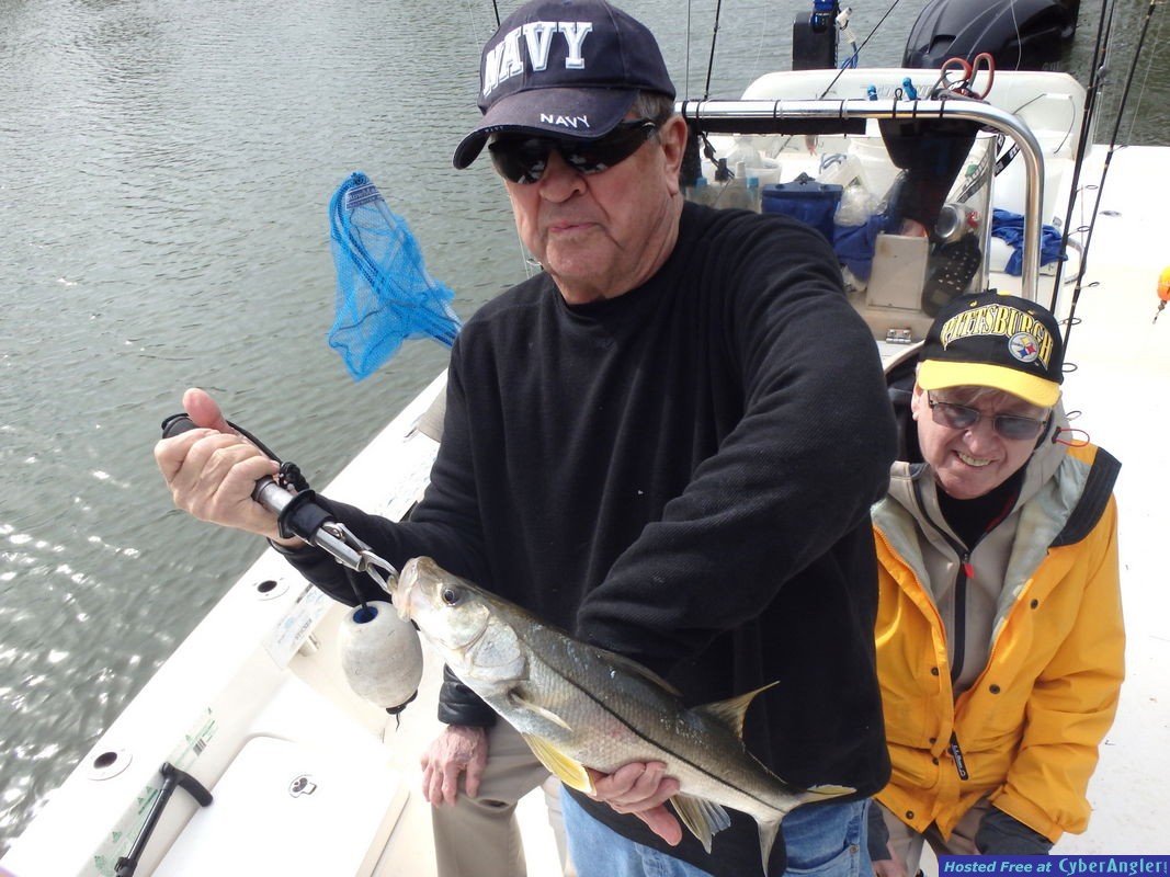 Click to Enlarge Photo