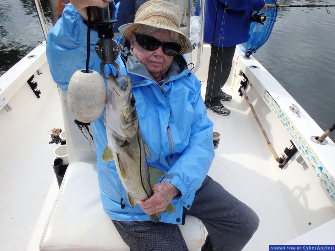 Click to Enlarge Photo