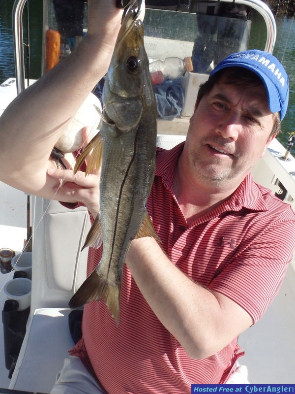 Click to Enlarge Photo