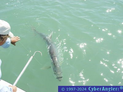 Click to Enlarge Photo