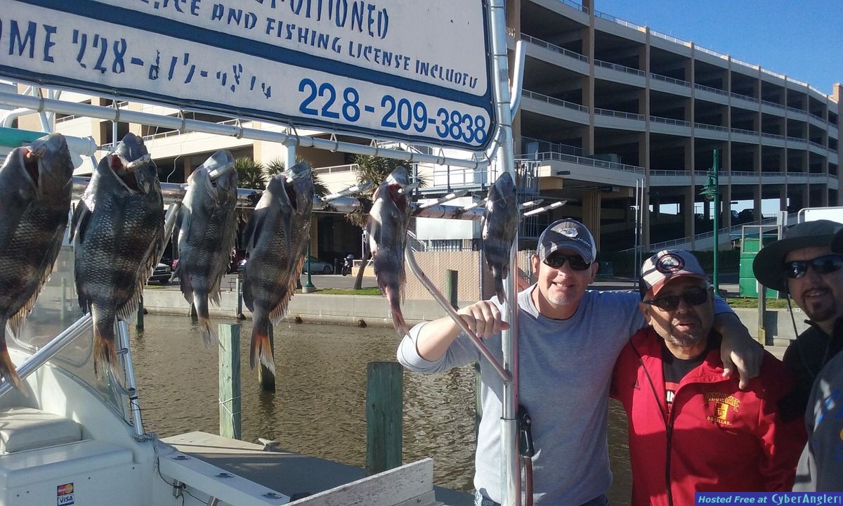 sheepheadsheephead and specks