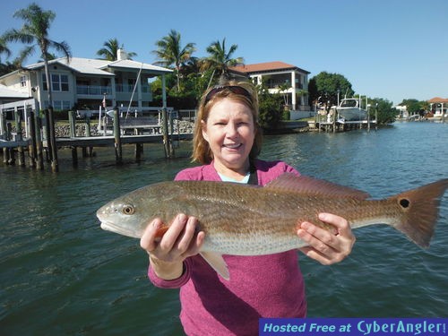 Click to Enlarge Photo