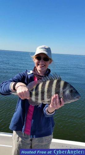 Sheepshead