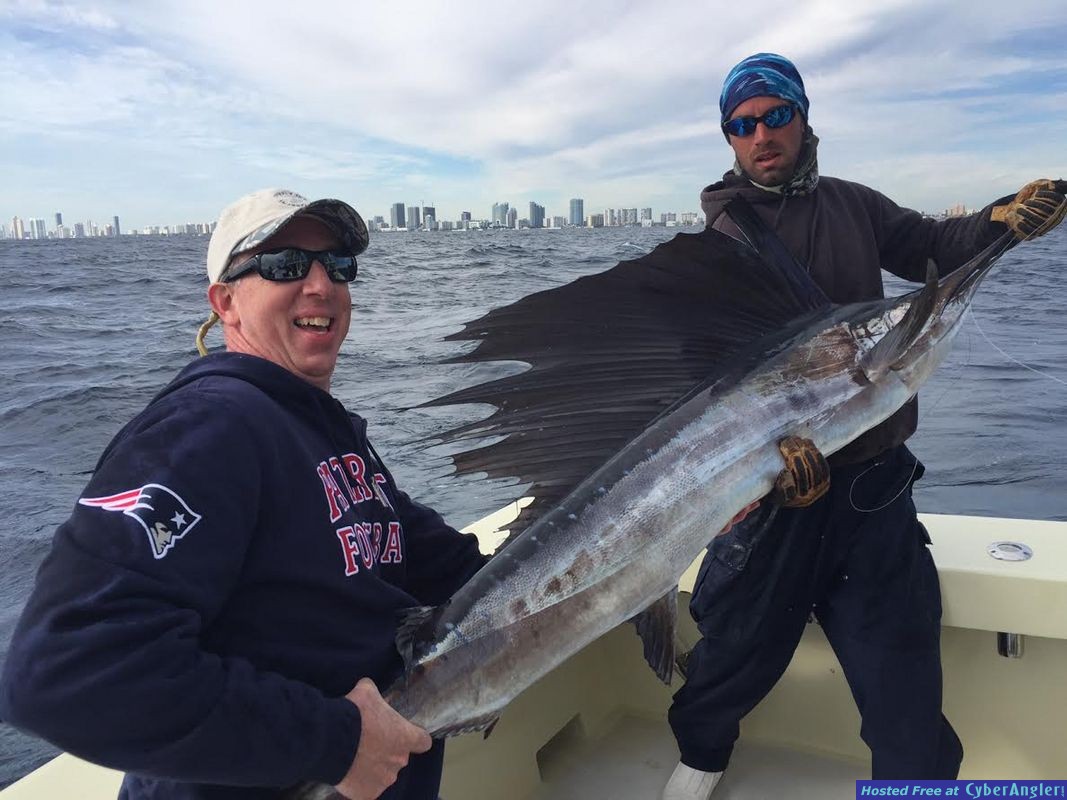 Sailfishing SOuth Florida