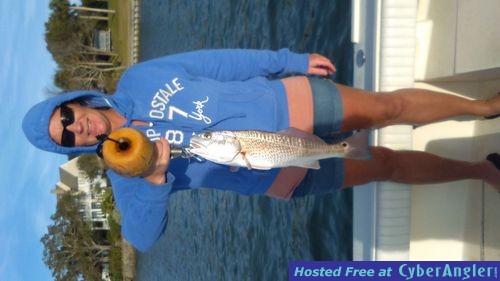 Click to Enlarge Photo