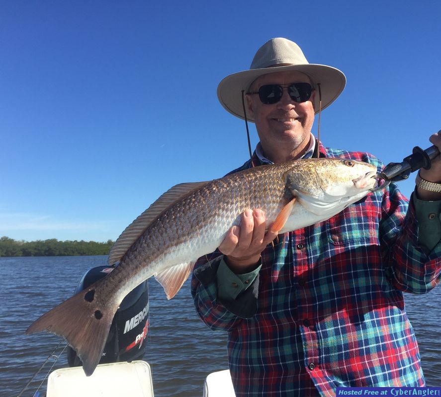 Double Spot Redfish