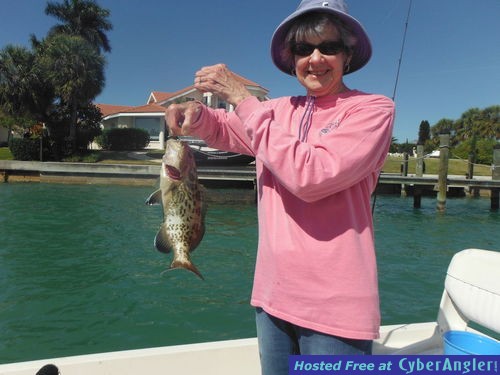 Click to Enlarge Photo