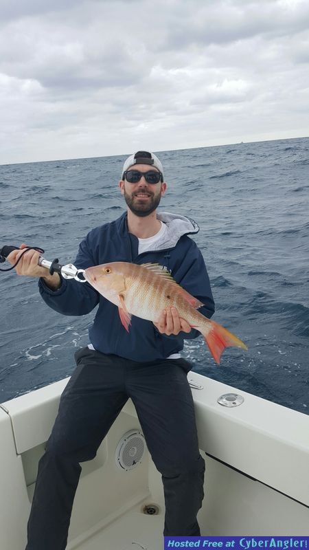 Click to Enlarge Photo