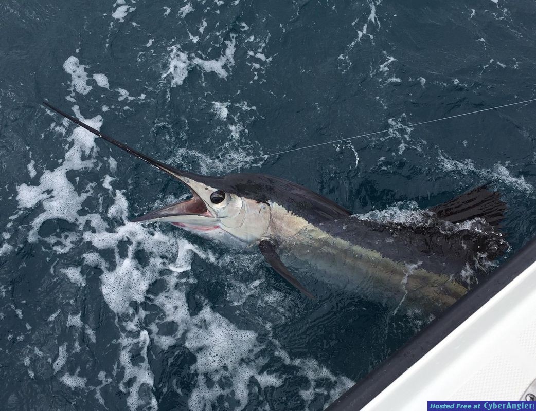 Click to Enlarge Photo