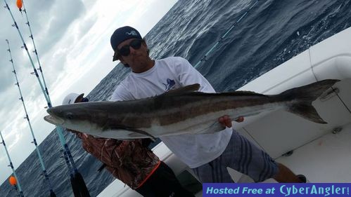 Click to Enlarge Photo